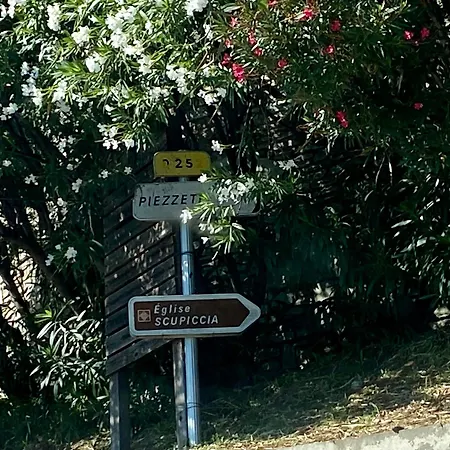 فيلة Confort, Vue Exceptionnelle, A *