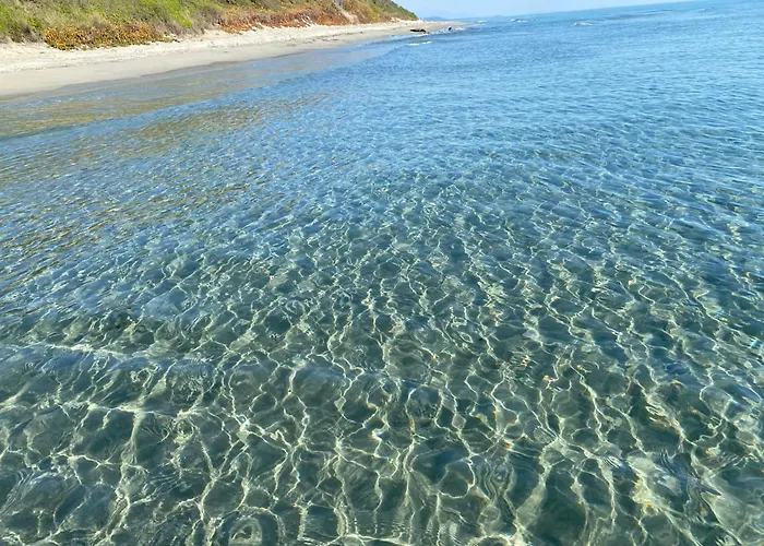 Villa Tout Confort, Vue Mer Exceptionnelle, A Cervione * Cervione