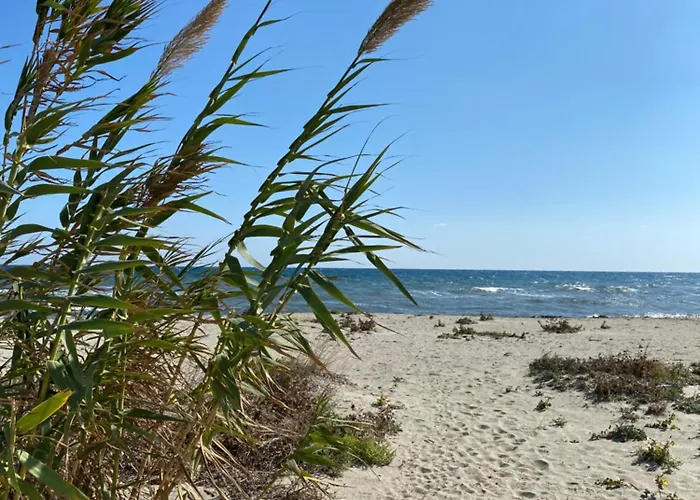 Villa Tout Confort, Vue Mer Exceptionnelle, A Cervione * Cervione