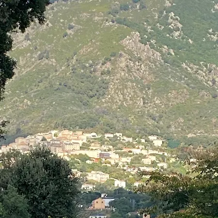 Villa Tout Confort, Vue Mer Exceptionnelle, A Cervione Villa Cervione