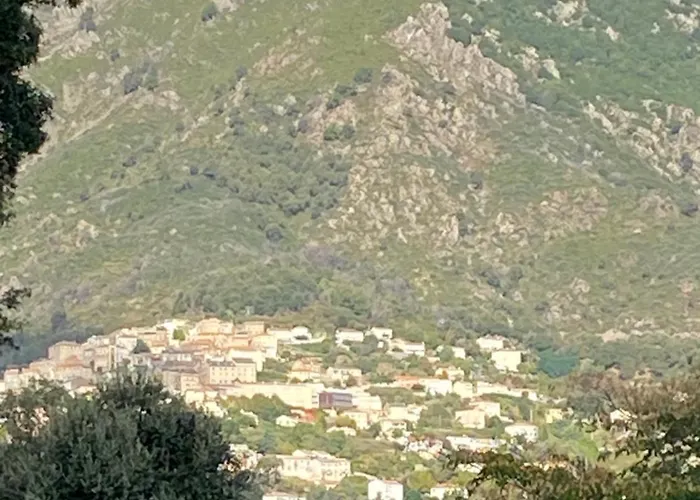 Confort, Vue Exceptionnelle, à Villa Cervione